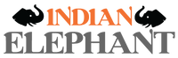 Indian Elephant