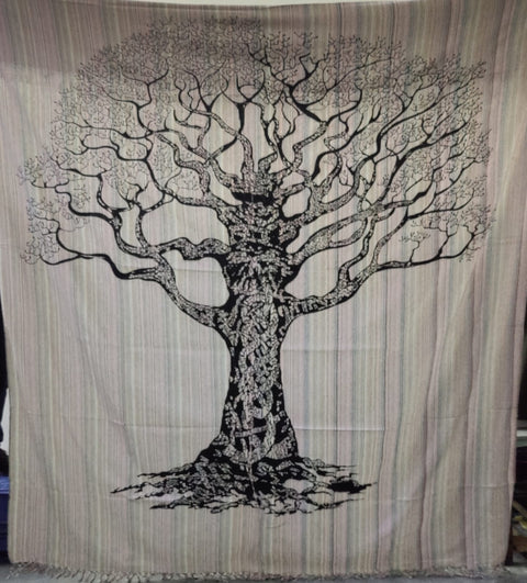 RIM JHIM/ JHARNA DRY TREE Indian Elephant